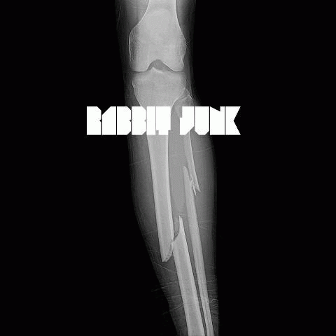 Rabbit Junk : Break Shins to This